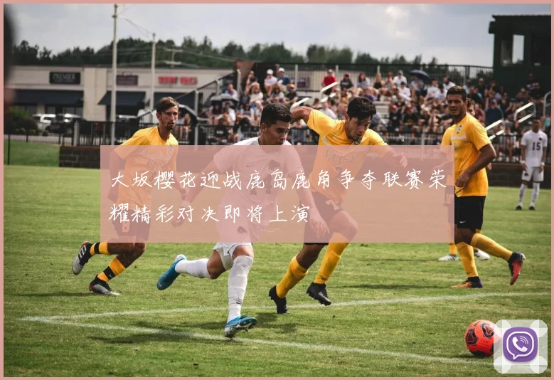 大坂樱花迎战鹿岛鹿角争夺联赛荣耀精彩对决即将上演