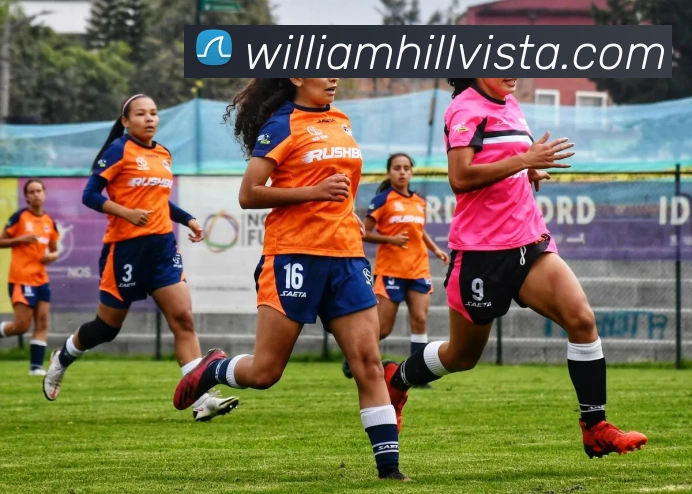 威廉希尔APP 封面图